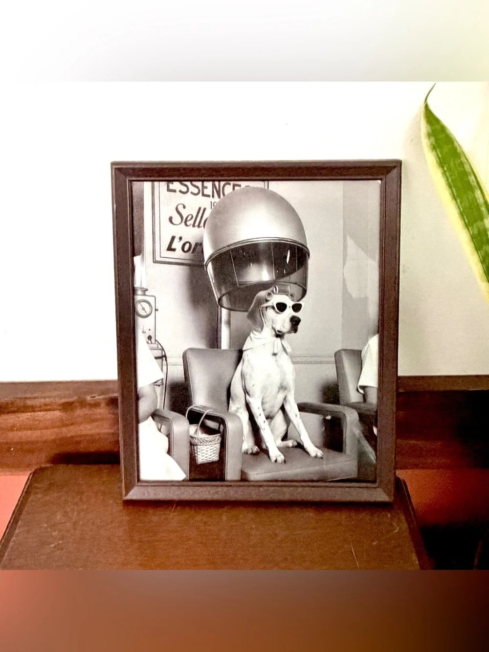 Dog Hair Salon Retro Vintage Style Canvas Wall Hanging Art Framed 8.5x10.5”